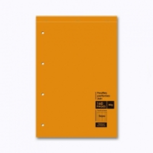 Bloc feuilles perforées A4