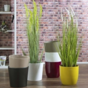 Pot de fleurs