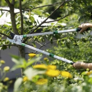 Gerden Feelings® Sécateur télescopique à cliquet