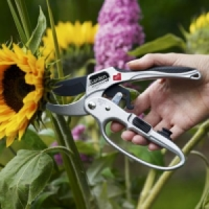 Garden Feelings® Sécateur à cliquet