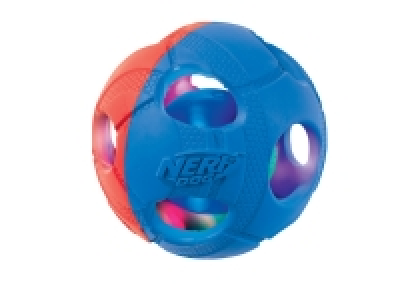 Jouet pour chien 5.99 €