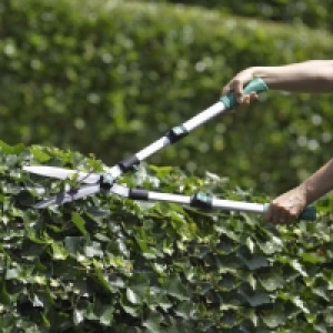Garden Feelings® Taille-haies télescopique