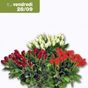 Garden Feelings® Brassée de 30 roses