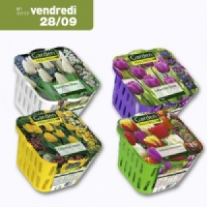 Garden Feelings® Panier de 100 bulbes dautomne