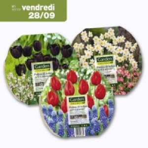 Garden Feelings® Plateau de 45 bulbes « prêt à planter »