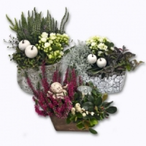 Composition florale 5.99 €