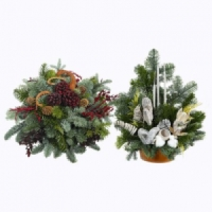 Composition en sapin