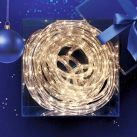 Aldi Lightzone® Cordon lumineux à LED