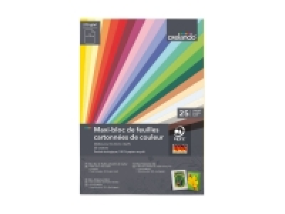 Maxi-bloc de feuilles cartonnées de couleur 1.99 €