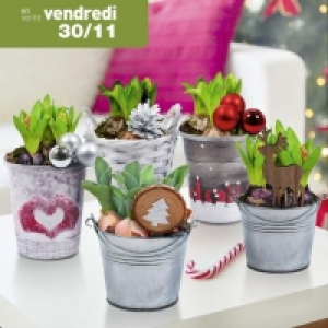 Garden Feelings® Composition de bulbes de fleurs