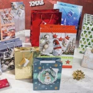 Aldi Living Art® Lots de sacs cadeaux