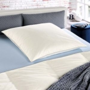 Home Creation® Oreiller plumes et duvet