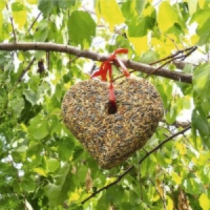 Garden Feelings® Graines compactées pour oiseaux