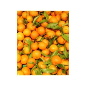 Mandarines feuilles De 900g à 1,1kg Catégorie 1 - Calibre 2/3 - Origin 4.39 €
