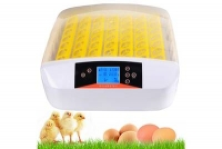 Maison, literie, jardin 81.15 €