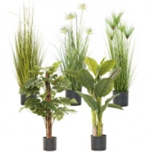 Aldi Living Art® Plante artificielle