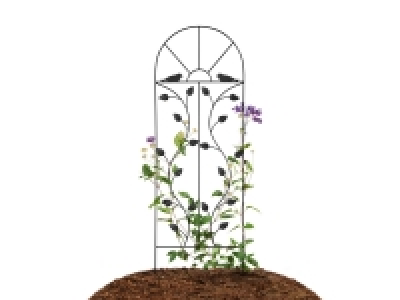 Treillage pour plantes grimpantes 5.99 €