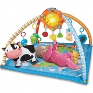 VTech Baby - Lumi Tapis Des Ptits Copains