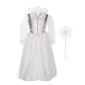 Déguisement Princesse argent 3-5 ans 24.50 €