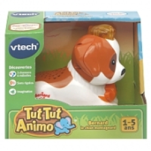 Tut Tut Animo - Bernard le chiot montagnard