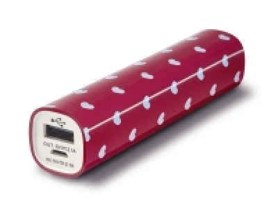 Batterie externe Powerbank 6.99 €