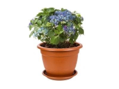 Pot de fleurs avec soucoupe 4.99 €