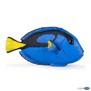 Toysrus  Papo - Poisson chirurgien - 56024