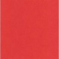 Castorama  Papier peint expansé rouge LUTECE Uni