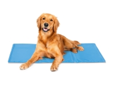 Housse de protection pour voiture ou tapis rafraîchissant 9.99 €
