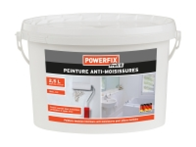 Peinture antimoisissure