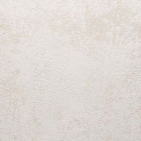 Castorama  Papier peint vinyle expansé sur intissé Eléphant blanc