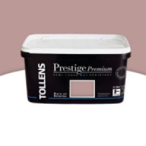 Castorama  Peinture alkyde murs et boiseries Pivoine satin 2L