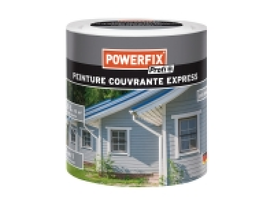 Peinture couvrante express 13.99 €