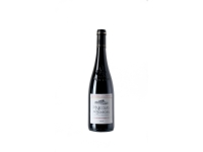 SAINT-NICOLAS DE BOURGUEIL 4.99 €