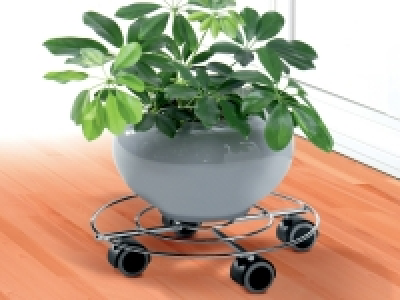 Support roulant pour plantes 4.49 €