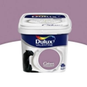 Castorama  Peinture murs et boiseries Dulux Valentine Crème de couleur glycine sa