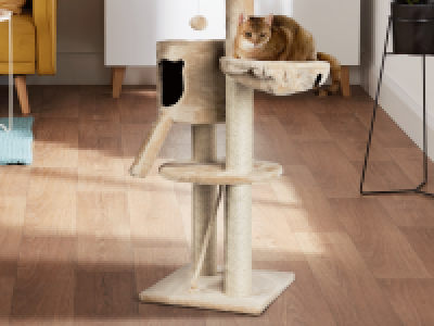 Arbre à chat 34.99 €