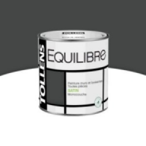 Castorama  Peinture murs et boiseries Gris Anthracite satin 500 ml