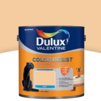 Castorama  Peinture murs et boiseries Dulux Valentine Color resist aurore mat 2,5