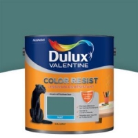 Castorama  Peinture murs et boiseries Dulux Valentine Color resist vert profond m