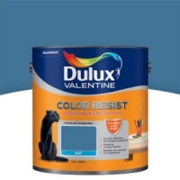 Castorama  Peinture murs et boiseries Dulux Valentine Color resist zinc bleu mat 