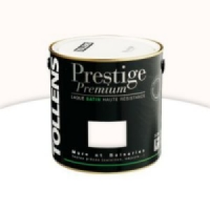 Castorama  Peinture alkyde murs et boiseries Blanc absolu satin 500 ml