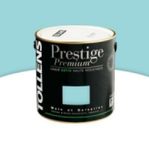 Castorama  Peinture alkyde murs et boiseries Bleu arctique satin 500 ml