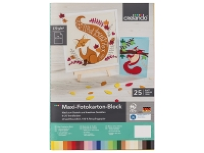 Lidl  Maxi-bloc de feuilles cartonnées de couleur