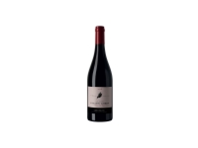 Chinon