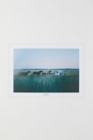  Poster photo 11.99 €