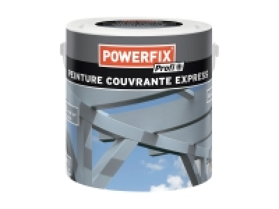 Peinture express couvrante 12.99 €