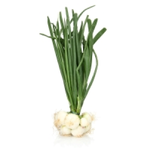 Oignons blancs - Botte Pièce Catégorie 1 - Origine France 1.80 €