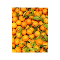 Spar  Mandarines feuilles De 900g à 1,1kg Catégorie 1 - Calibre 2/3 - Origin