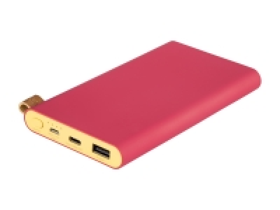 Batterie externe Powerbank 13.99 €